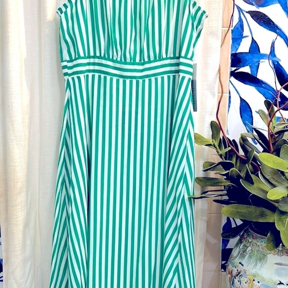 NWT Women’s Tash + Sophie Anthropologie Green & White Striped Midi Dress Size 12 - Picture 4 of 16
